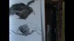the witcher 2 unboxing