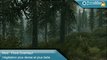 Mod - Flora Overhaul, Climates of Tamriel, Enhanced Blood Textures, Improved NPC Clothing