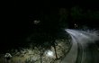 Need For Speed Carbon