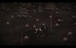 Don't Starve