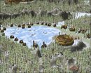  Scénario Solo Disciples of Chaos 3: Snotbeard and Hammerfoot (2.0)