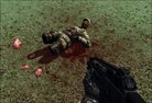  Dismemberment