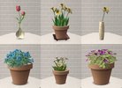  Lazy Gardener’s Delight