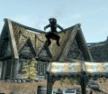  Higher Jumping