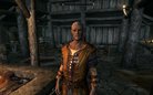  CM New Companions Mod