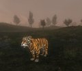  Perisno