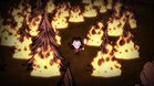 Images et photos Don't Starve