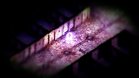 Images et photos Pillars Of Eternity