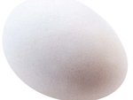 Egg car