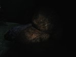 Realistic Flashlight