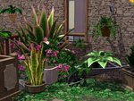 Planters - Sols et murs