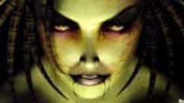 Test de StarCraft : Brood War