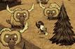 Don't Starve bientt sur PS Vita ?