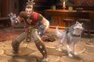 Un million dexemplaire pour Torchlight 2