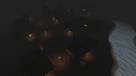 Mods : Diablo recr sur Divinity : Original Sin